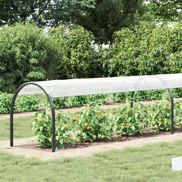 Vidaxl Tarpauline transparente avec des anneaux de voile 1x6 m polyéthylène
