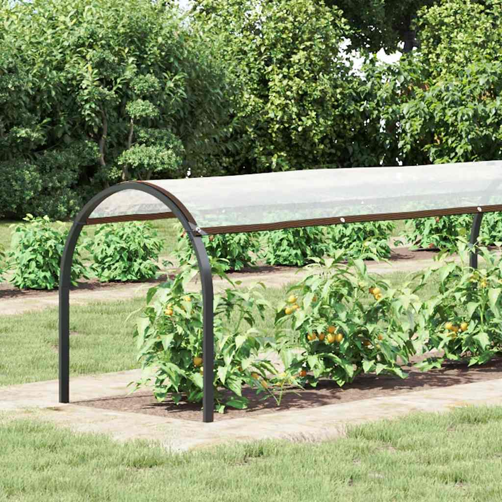 Vidaxl Tarpauline transparente avec des anneaux de voile 1x6 m polyéthylène