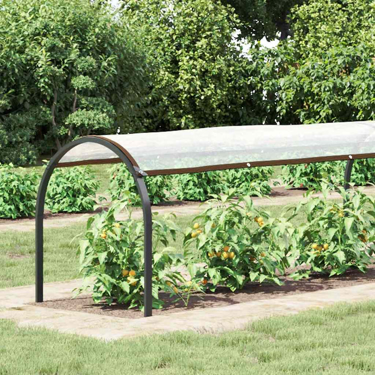 Vidaxl Tarpauline transparente avec des anneaux de voile 1x12 M en polyéthylène