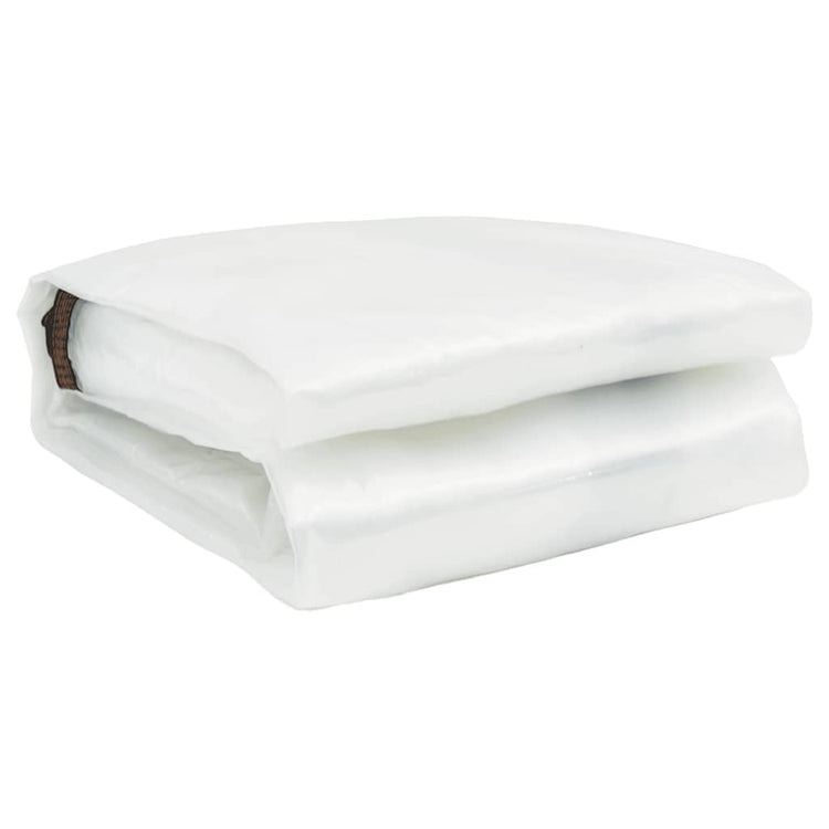 Vidaxl Tarpauline transparente avec anneaux de voile 6x12 M polyéthylène