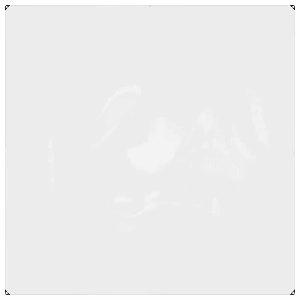 Vidaxl Tarpauline transparente avec anneaux de voile 2x2 m PVC