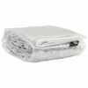 Vidaxl Tarpauline transparente avec anneaux de voile 3x8 m PVC
