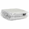 Vidaxl Tarpauline transparente avec anneaux de voile 4x6 m PVC