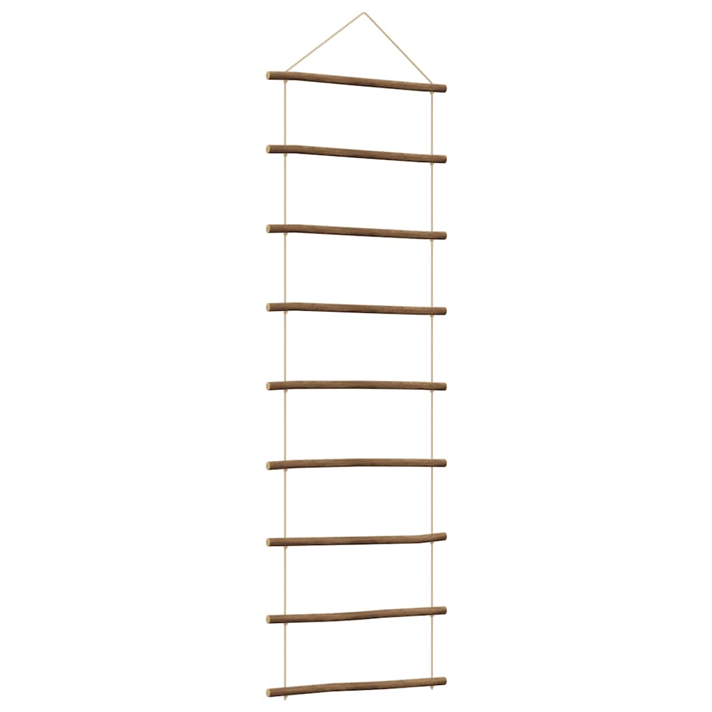 Échelle de décoration de paroi Vidaxl - Branche naturelle de 50x150 cm