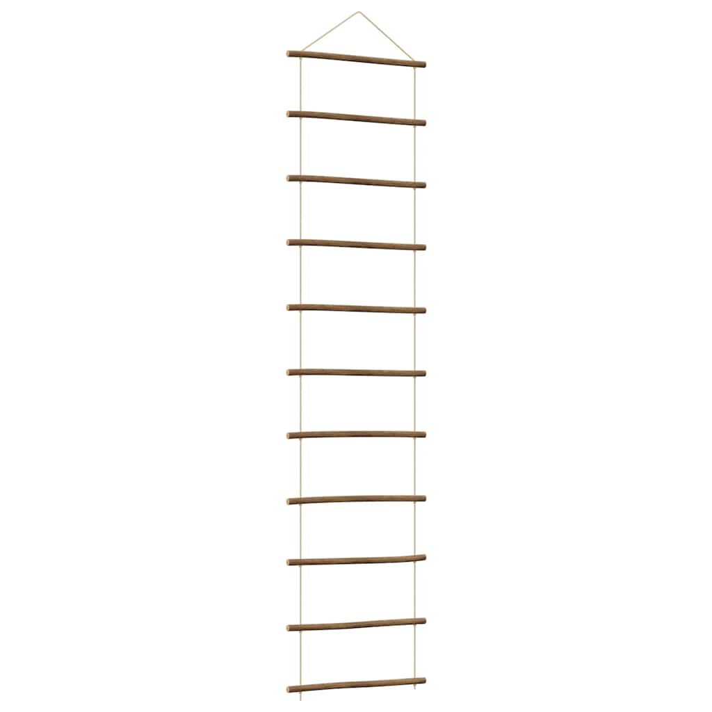 Échelle de décoration de paroi Vidaxl - Branche naturelle de 50x200 cm