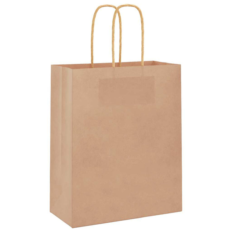 VidaXL sacs en papier 50 pcs avec poignées 18x8x22 cm marron