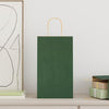 VidaXL sacs en papier 50 pcs avec poignées 21x11x36 cm vert