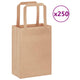 VidaXL sacs en papier 250 pcs avec poignées 15x8x21 cm marron