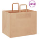 VidaXL sacs en papier 250 pcs avec poignées 32x22x24 cm marron