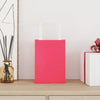 VidaXL sacs en papier 250 pcs avec poignées 15x8x21 cm rose