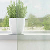Vidaxl rideaux voile avec passe-tringles 2 pcs gris clair