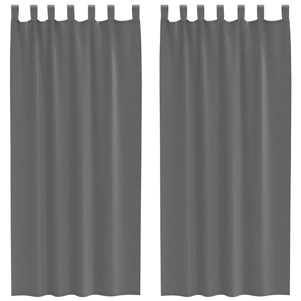 Vidaxx rideaux voile avec passants 2 pcs 140x225 cm gris foncé