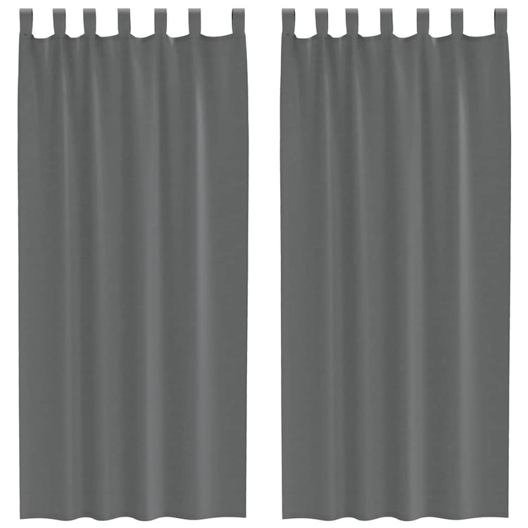 Vidaxx rideaux voile avec passants 2 pcs 140x225 cm gris foncé