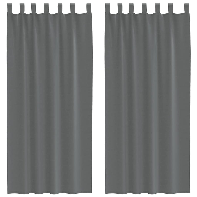 Vidaxx rideaux voile avec passants 2 pcs 140x245 cm gris foncé