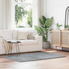 Vidaxx tapis à poils longs navarra 120x170 cm polyester gris clair