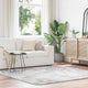 Vidaxx tapis à poils longs navarra 200x200 cm polyester gris argenté