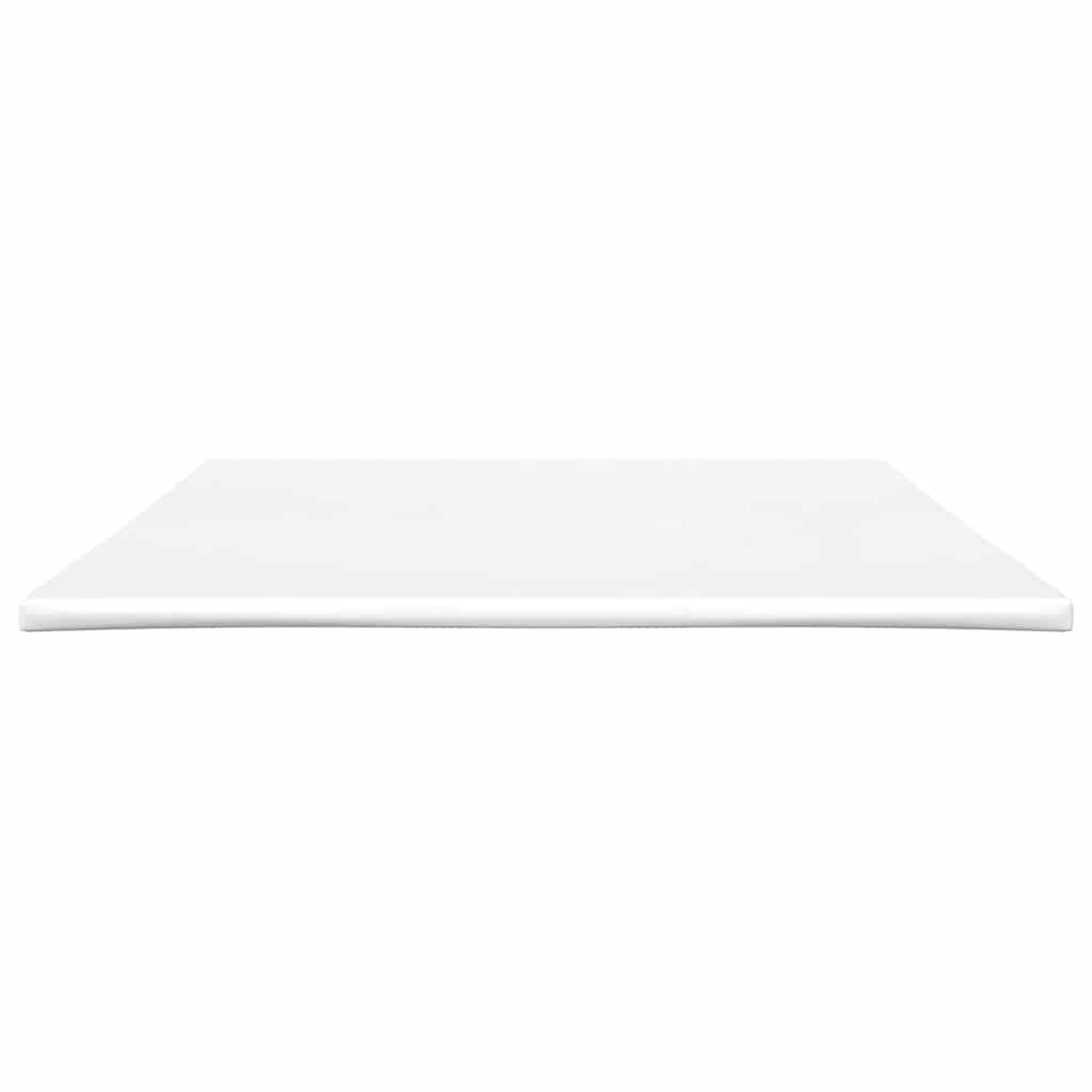Surmatelas VidaXL 160x220x5 cm