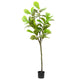 Vidaxl fuxus artificiel 48 feuilles 165 cm vert