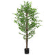 VidaXL plante de ficus artificielle 1260 feuilles 200 cm vert
