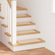Vidaxx tapis d'escalier antidérapants dos en latex 15 pcs crème 60 x 25 cm pp