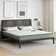Vidaxxl surmatelas blanc et vert 200 x 200 cm tissu jacquard