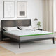 Vidaxxl surmatelas blanc et vert 180 x 200 cm tissu jacquard