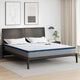 Vidaxxl surmatelas blanc 200 x 200 cm tissu jacquard