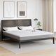 VidaXL surmatelas en noix de coco blanc 200 x 200 cm tissu jacquard