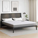 Vidaxl surmatelas blanc 200 x 200 cm tissu tricoté
