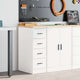 Vidaxx armoire de garage 30x51x85 cm bois de pin massif blanc