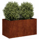 Vidaxx jardinière rouillé 80x40x40 cm acier résistant aux intempéries