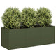 Vidaxx jardinière 120x40x40 cm acier laminé à froid vert olive