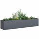 Vidaxx jardinière anthracite 200x40x40 cm acier laminé à froid