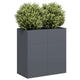 Jardinière Vidaxx 80x40x80 cm acier laminé à froid, anthracite