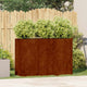 Vidaxx jardinière rouillé 120x40x80 cm acier résistant aux intempéries