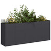 Vidaxx jardinière 200x40x80 cm acier laminé à froid noir