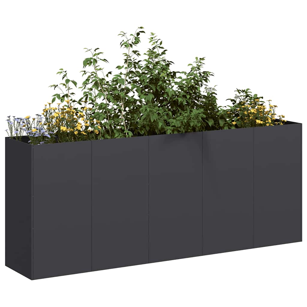 Vidaxx jardinière 200x40x80 cm acier laminé à froid noir
