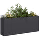 Vidaxx jardinière 200x40x80 cm acier laminé à froid noir