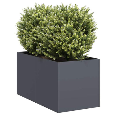 Jardinière Vidaxx 40x80x40 cm acier laminé à froid, anthracite