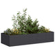 Vidaxx jardinière 200x80x40 cm acier noir