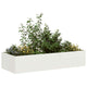 Vidaxx jardinière 200x80x40 cm acier blanc