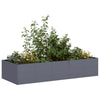 Vidaxx jardinière 200x80x40 cm acier anthracite