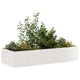 Jardinière Vidaxx 200x80x40 cm acier inoxydable