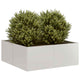 Jardinière Vidaxx 80x80x30 cm acier inoxydable