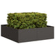 Vidaxx jardinière 100x100x30 cm acier noir