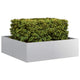 Jardinière Vidaxx 100x100x30 cm en acier galvanisé