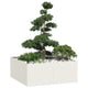 Vidaxx jardinière 100x100x40 cm acier blanc