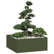 Vidaxx jardinière 100x100x40 cm acier vert olive
