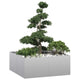 Jardinière Vidaxx 100x100x40 cm en acier galvanisé