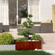 Vidaxx jardinière rouillé 100x100x40 cm acier résistant aux intempéries
